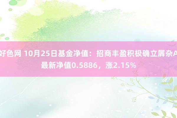 好色网 10月25日基金净值：招商丰盈积极确立羼杂A最新净值0.5886，涨2.15%