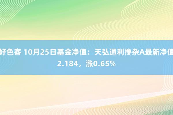 好色客 10月25日基金净值：天弘通利搀杂A最新净值2.184，涨0.65%