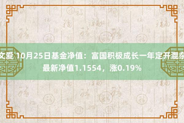 文爱 10月25日基金净值：富国积极成长一年定开混杂最新净值1.1554，涨0.19%