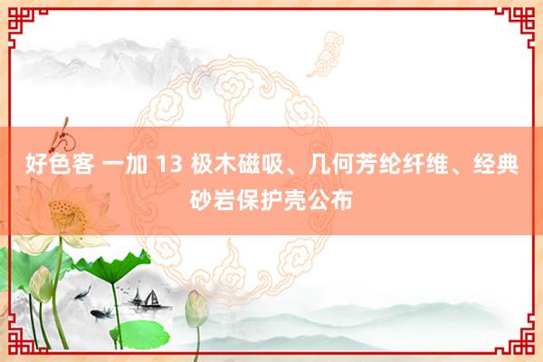 好色客 一加 13 极木磁吸、几何芳纶纤维、经典砂岩保护壳公布