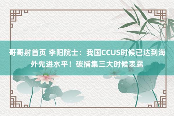 哥哥射首页 李阳院士：我国CCUS时候已达到海外先进水平！碳捕集三大时候表露