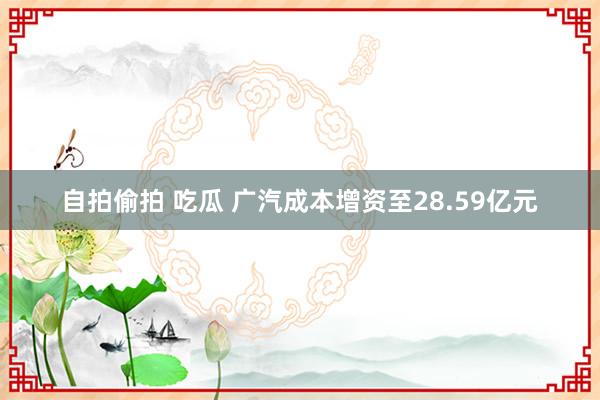 自拍偷拍 吃瓜 广汽成本增资至28.59亿元