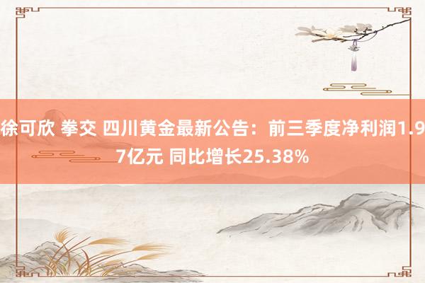 徐可欣 拳交 四川黄金最新公告：前三季度净利润1.97亿元 同比增长25.38%