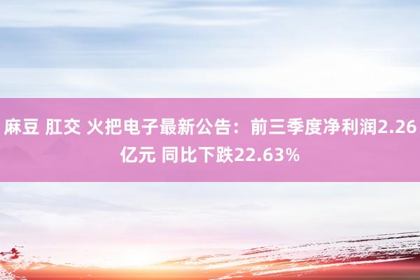 麻豆 肛交 火把电子最新公告：前三季度净利润2.26亿元 同比下跌22.63%