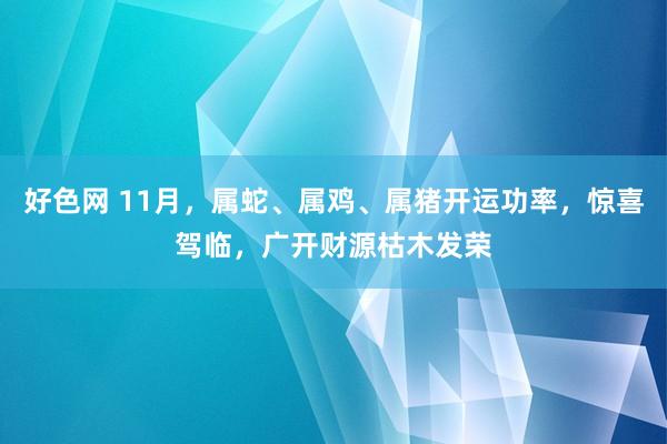 好色网 11月，属蛇、属鸡、属猪开运功率，惊喜驾临，广开财源枯木发荣