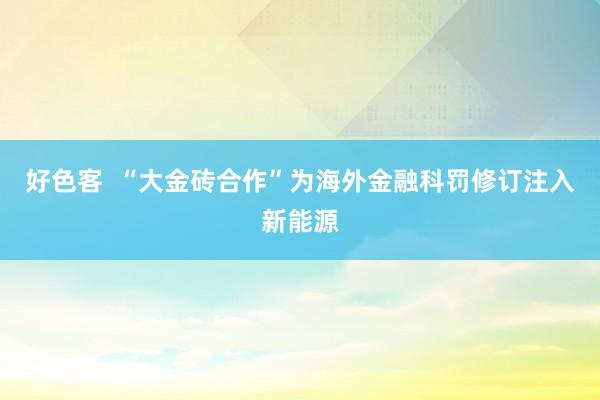 好色客  “大金砖合作”为海外金融科罚修订注入新能源