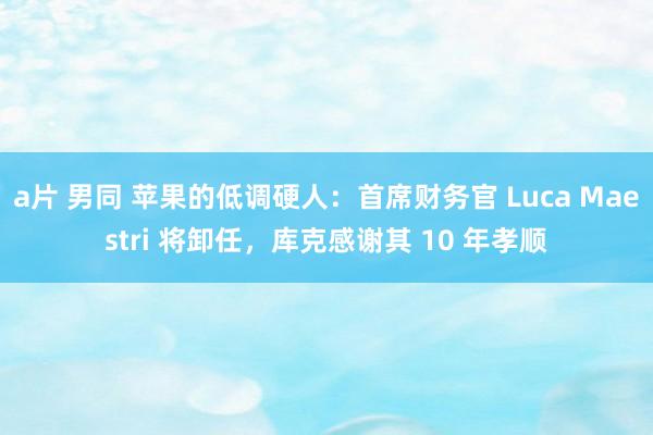 a片 男同 苹果的低调硬人：首席财务官 Luca Maestri 将卸任，库克感谢其 10 年孝顺