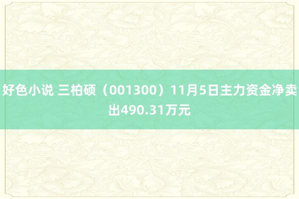 好色小说 三柏硕（001300）11月5日主力资金净卖出490.31万元