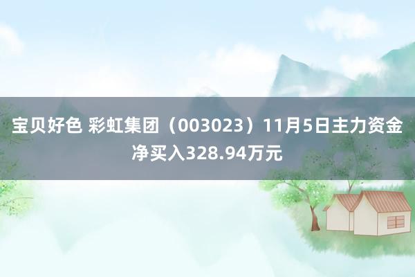 宝贝好色 彩虹集团（003023）11月5日主力资金净买入328.94万元