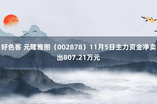 好色客 元隆雅图（002878）11月5日主力资金净卖出807.21万元