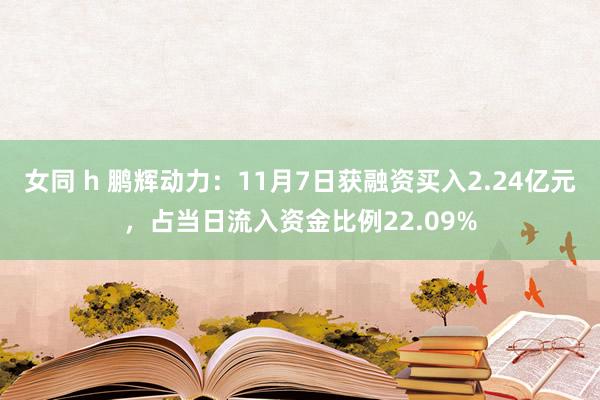 女同 h 鹏辉动力：11月7日获融资买入2.24亿元，占当日流入资金比例22.09%