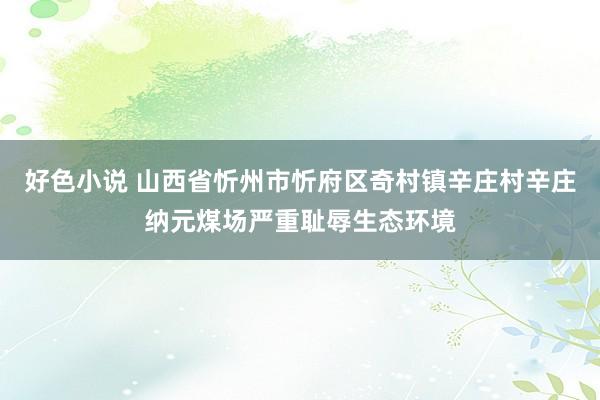 好色小说 山西省忻州市忻府区奇村镇辛庄村辛庄纳元煤场严重耻辱生态环境