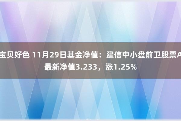 宝贝好色 11月29日基金净值：建信中小盘前卫股票A最新净值3.233，涨1.25%