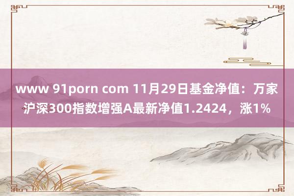 www 91porn com 11月29日基金净值：万家沪深300指数增强A最新净值1.2424，涨1%