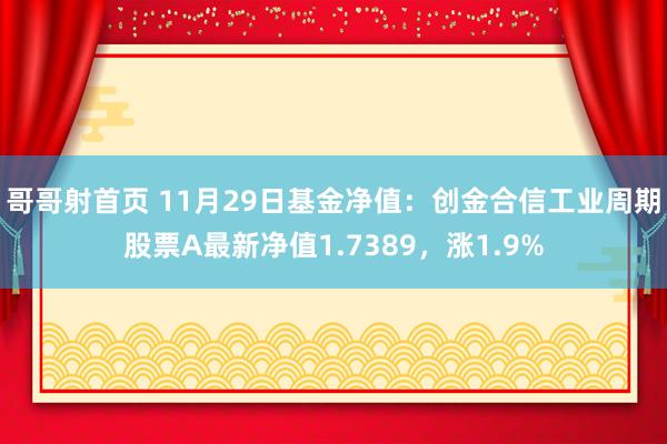 哥哥射首页 11月29日基金净值：创金合信工业周期股票A最新净值1.7389，涨1.9%