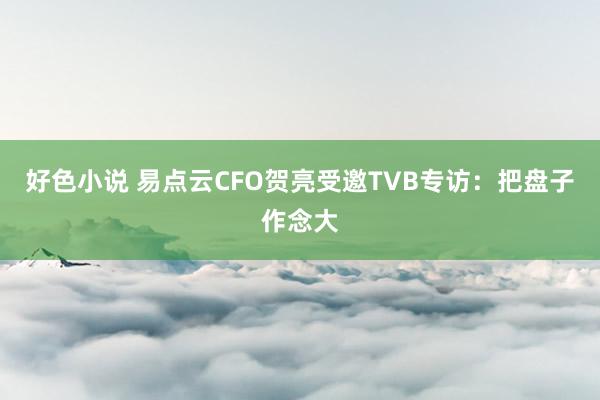 好色小说 易点云CFO贺亮受邀TVB专访：把盘子作念大