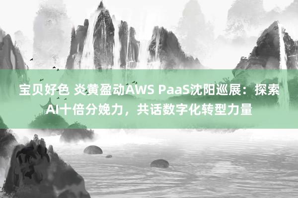 宝贝好色 炎黄盈动AWS PaaS沈阳巡展：探索AI十倍分娩力，共话数字化转型力量