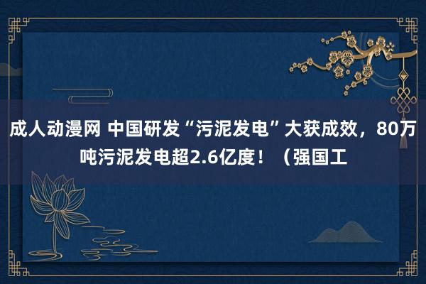 成人动漫网 中国研发“污泥发电”大获成效，80万吨污泥发电超2.6亿度！（强国工