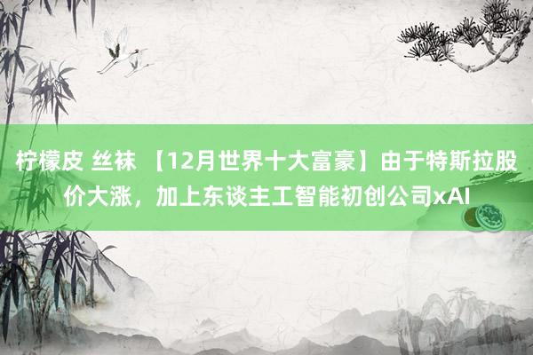 柠檬皮 丝袜 【12月世界十大富豪】由于特斯拉股价大涨，加上东谈主工智能初创公司xAI