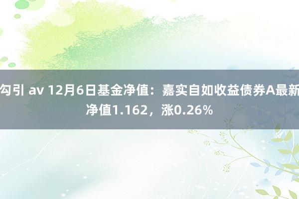 勾引 av 12月6日基金净值：嘉实自如收益债券A最新净值1.162，涨0.26%