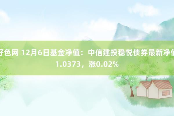 好色网 12月6日基金净值：中信建投稳悦债券最新净值1.0373，涨0.02%