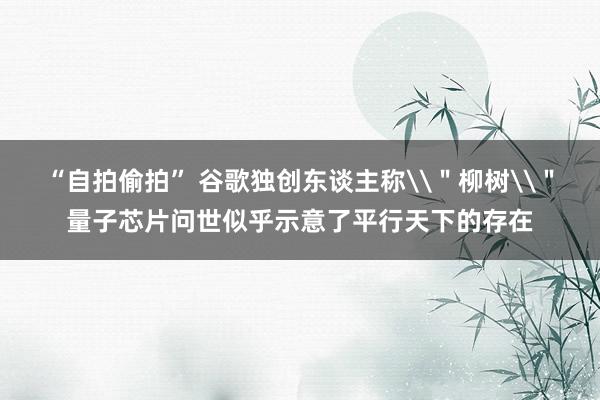 “自拍偷拍” 谷歌独创东谈主称\＂柳树\＂量子芯片问世似乎示意了平行天下的存在