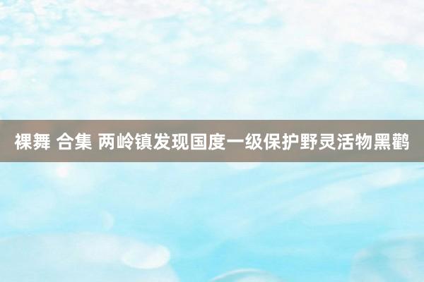 裸舞 合集 两岭镇发现国度一级保护野灵活物黑鹳