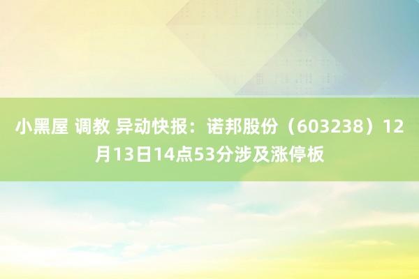 小黑屋 调教 异动快报：诺邦股份（603238）12月13日14点53分涉及涨停板