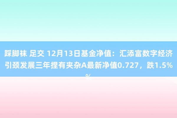 踩脚袜 足交 12月13日基金净值：汇添富数字经济引颈发展三年捏有夹杂A最新净值0.727，跌1.5%