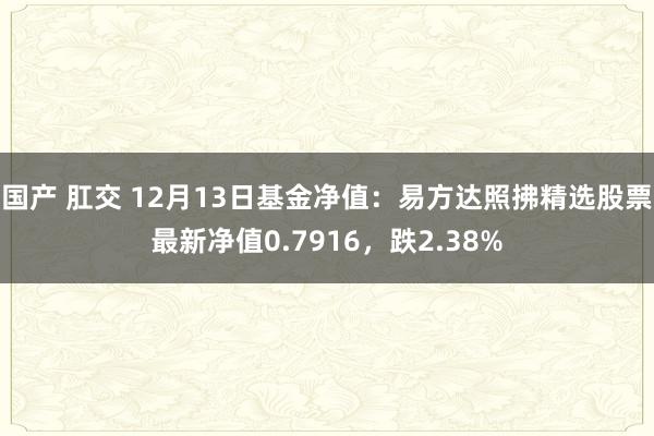 国产 肛交 12月13日基金净值：易方达照拂精选股票最新净值0.7916，跌2.38%