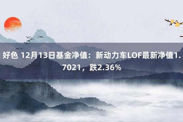 好色 12月13日基金净值：新动力车LOF最新净值1.7021，跌2.36%