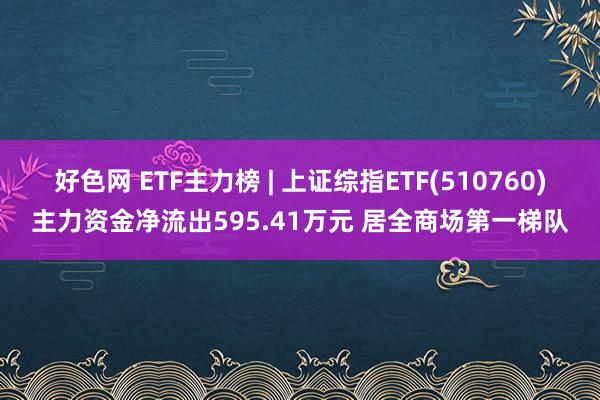 好色网 ETF主力榜 | 上证综指ETF(510760)主力资金净流出595.41万元 居全商场第一梯队