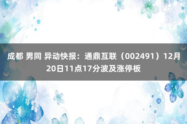 成都 男同 异动快报：通鼎互联（002491）12月20日11点17分波及涨停板