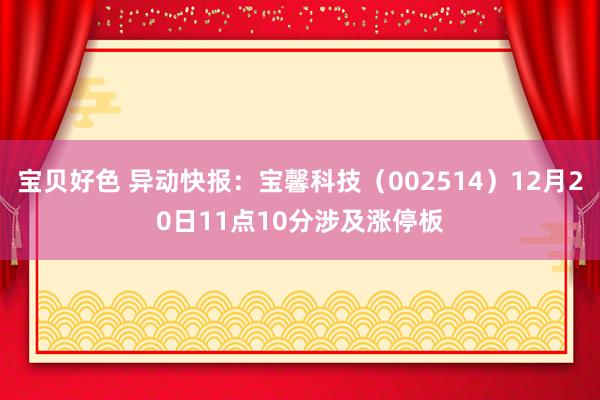 宝贝好色 异动快报：宝馨科技（002514）12月20日11点10分涉及涨停板