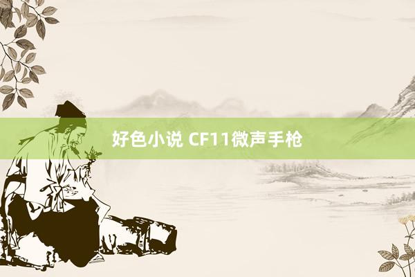 好色小说 CF11微声手枪