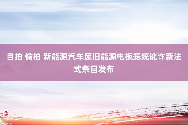 自拍 偷拍 新能源汽车废旧能源电板笼统讹诈新法式条目发布