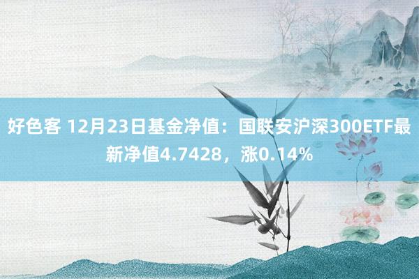 好色客 12月23日基金净值：国联安沪深300ETF最新净值4.7428，涨0.14%