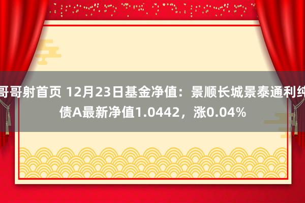 哥哥射首页 12月23日基金净值：景顺长城景泰通利纯债A最新净值1.0442，涨0.04%