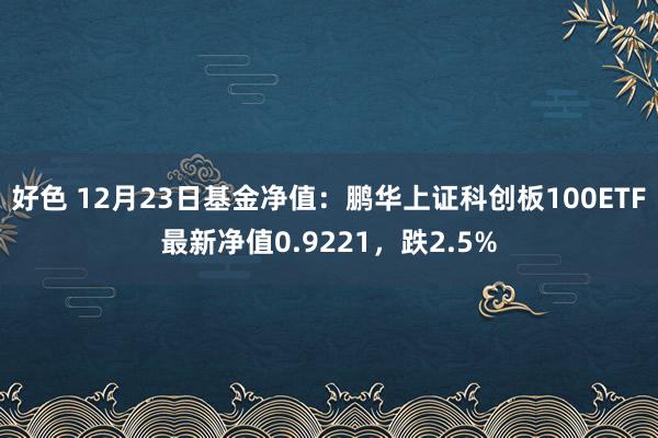 好色 12月23日基金净值：鹏华上证科创板100ETF最新净值0.9221，跌2.5%