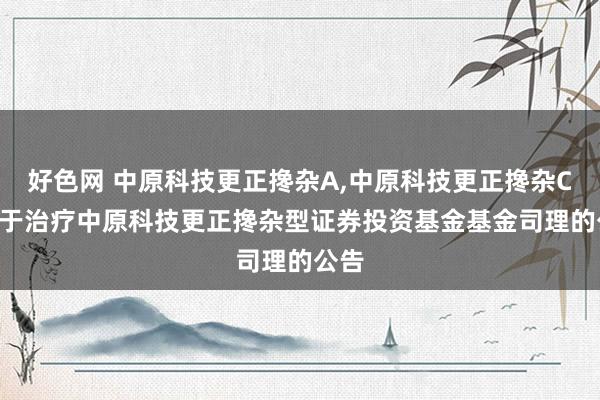 好色网 中原科技更正搀杂A，中原科技更正搀杂C: 对于治疗中原科技更正搀杂型证券投资基金基金司理的公告