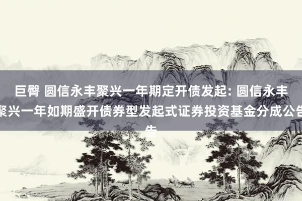 巨臀 圆信永丰聚兴一年期定开债发起: 圆信永丰聚兴一年如期盛开债券型发起式证券投资基金分成公告