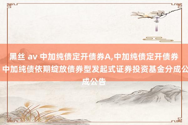 黑丝 av 中加纯债定开债券A，中加纯债定开债券C: 中加纯债依期绽放债券型发起式证券投资基金分成公告