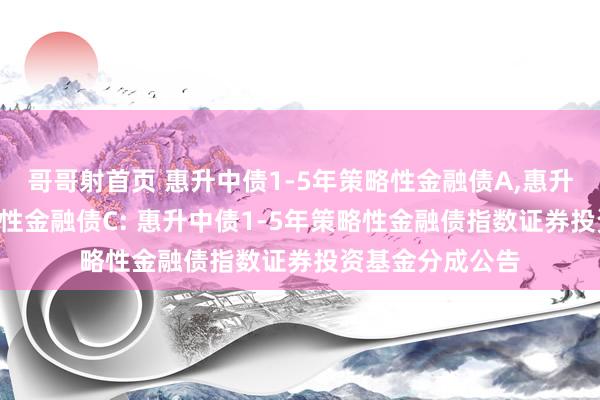 哥哥射首页 惠升中债1-5年策略性金融债A，惠升中债1-5年策略性金融债C: 惠升中债1-5年策略性金融债指数证券投资基金分成公告