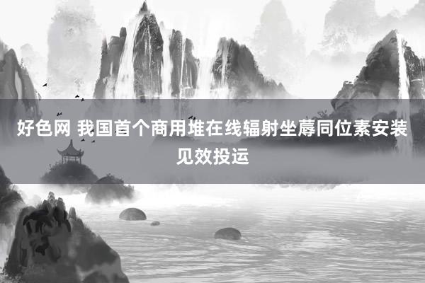 好色网 我国首个商用堆在线辐射坐蓐同位素安装见效投运