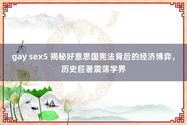 gay sex5 揭秘好意思国宪法背后的经济博弈，历史巨著震荡学界