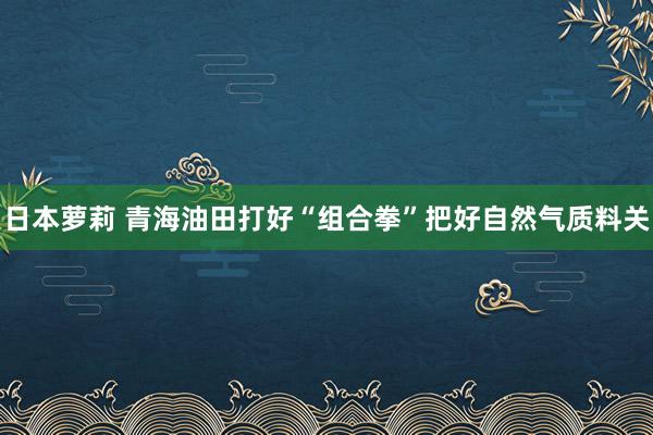 日本萝莉 青海油田打好“组合拳”把好自然气质料关