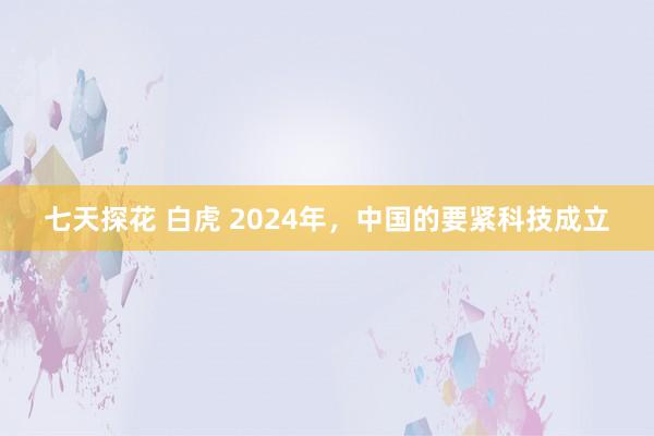 七天探花 白虎 2024年，中国的要紧科技成立