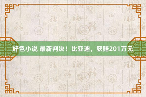 好色小说 最新判决！比亚迪，获赔201万元