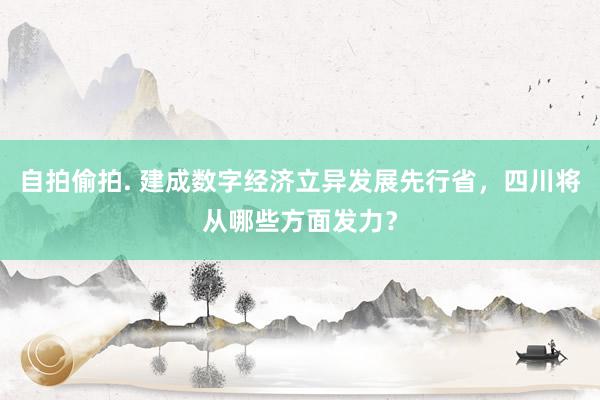 自拍偷拍. 建成数字经济立异发展先行省，四川将从哪些方面发力？