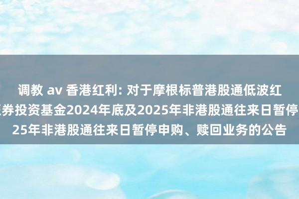 调教 av 香港红利: 对于摩根标普港股通低波红利往来型通达式指数证券投资基金2024年底及2025年非港股通往来日暂停申购、赎回业务的公告